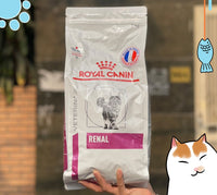 Thức ăn cho mèo hỗ trợ chức năng thận Royal Canin Renal Cat 400g