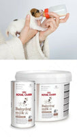 Sữa bột cho chó con Royal Canin Baby Dog Milk 2Kg