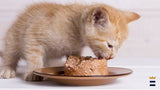 Pate cho mèo con hỗ trợ tiêu hóa Royal Canin Gastrointestinal Kitten 195g