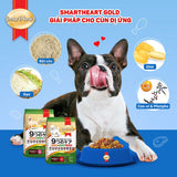 Thức ăn cho chó trưởng thành vị thịt cừu và gạo Smartheart Gold 3kg