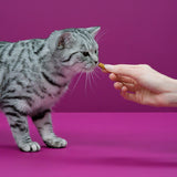 Bánh thưởng cho mèo vị gà tây Whiskas Temptations 60g