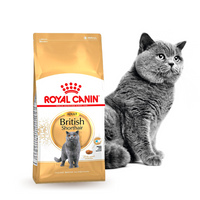 Thức ăn cho mèo Anh lông ngắn Royal Canin British Shorthair Adult 400g
