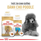 Thức ăn khô cho chó Royal Canin Poodle Adult 500g