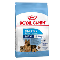 Thức ăn hạt cho chó mẹ và chó con giống lớn Royal Canin 1kg