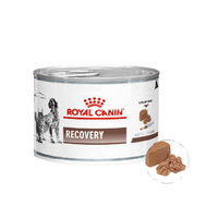 Thức ăn ướt thúc đẩy quá trình phục hồi cho thú cưng Royal Canin 195g