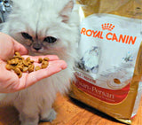 Thức ăn cho mèo Ba Tư trưởng thành Royal Canin Persian Adult 400g