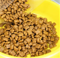 Thức ăn hạt cho mèo con Royal Canin Kitten 400g