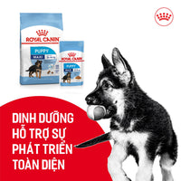 Thức ăn hạt cho chó con giống lớn Royal Canin Maxi Puppy 1kg