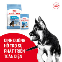 Pate cho chó con giống lớn Royal Canin Maxi Puppy 140g