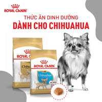 Thức ăn khô cho chó con Royal Canin Chihuahua Puppy 500g