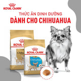 Thức ăn khô cho chó trưởng thành Royal Canin Chihuahua Adult 500g