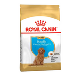 Thức ăn khô cho chó con Royal Canin Poodle Puppy 500g